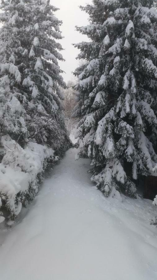 Chata Línia Kokava na Rimavica Exterior foto